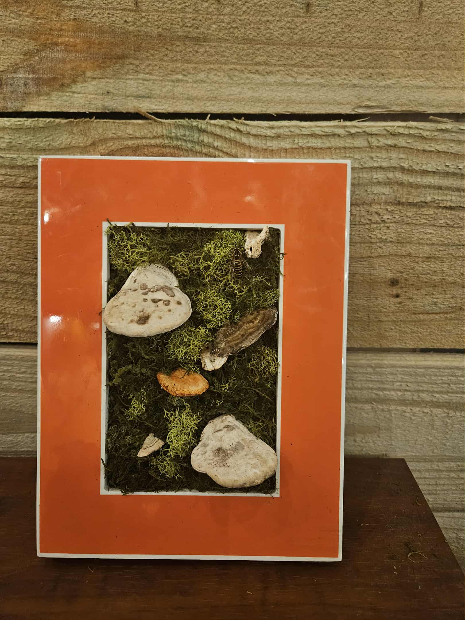 The Forgotten Pollinator