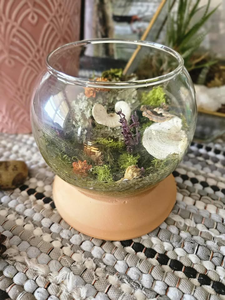 Magical Forest Groves 🌿Nature’s Magic in Glass 🌿