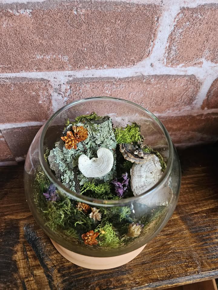 Magical Forest Groves 🌿Nature’s Magic in Glass 🌿