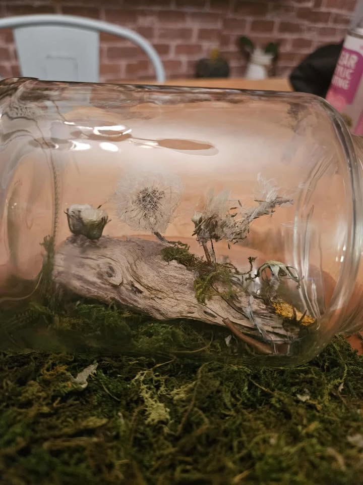 The Sewing of Dreams