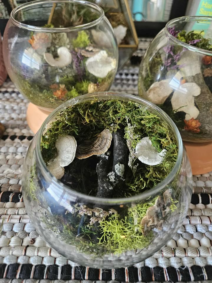 Magical Forest Groves 🌿Nature’s Magic in Glass 🌿