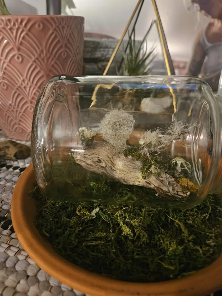 The Sewing of Dreams