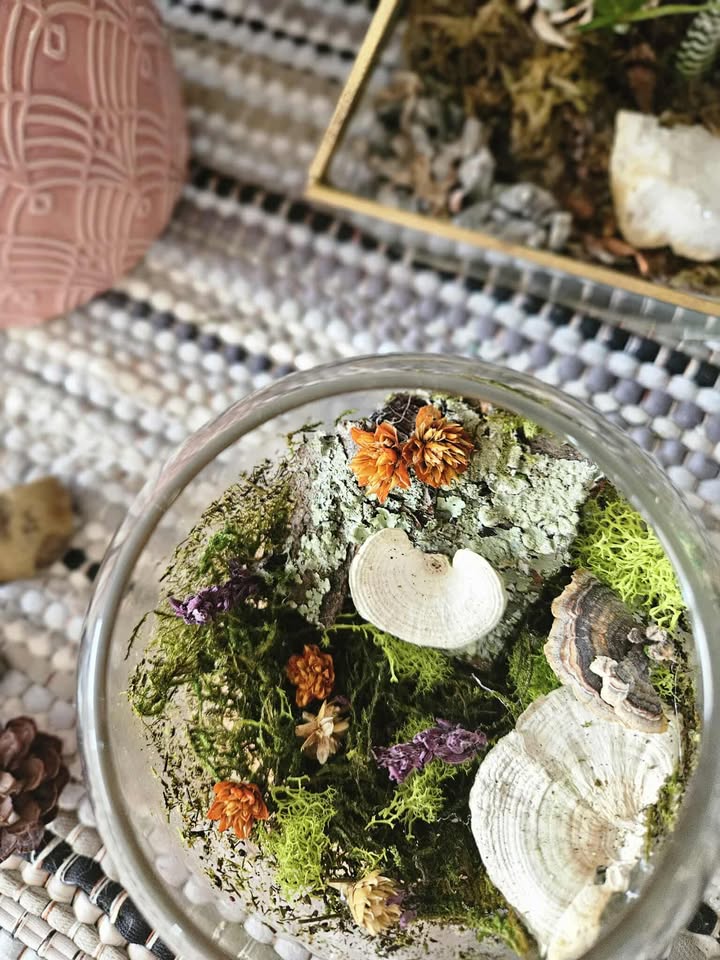 Magical Forest Groves 🌿Nature’s Magic in Glass 🌿