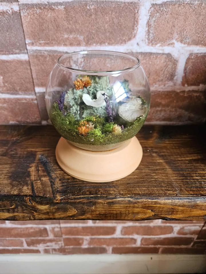 Magical Forest Groves 🌿Nature’s Magic in Glass 🌿