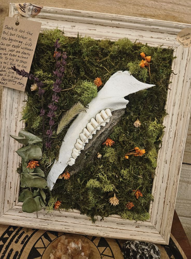 Garden through Decay