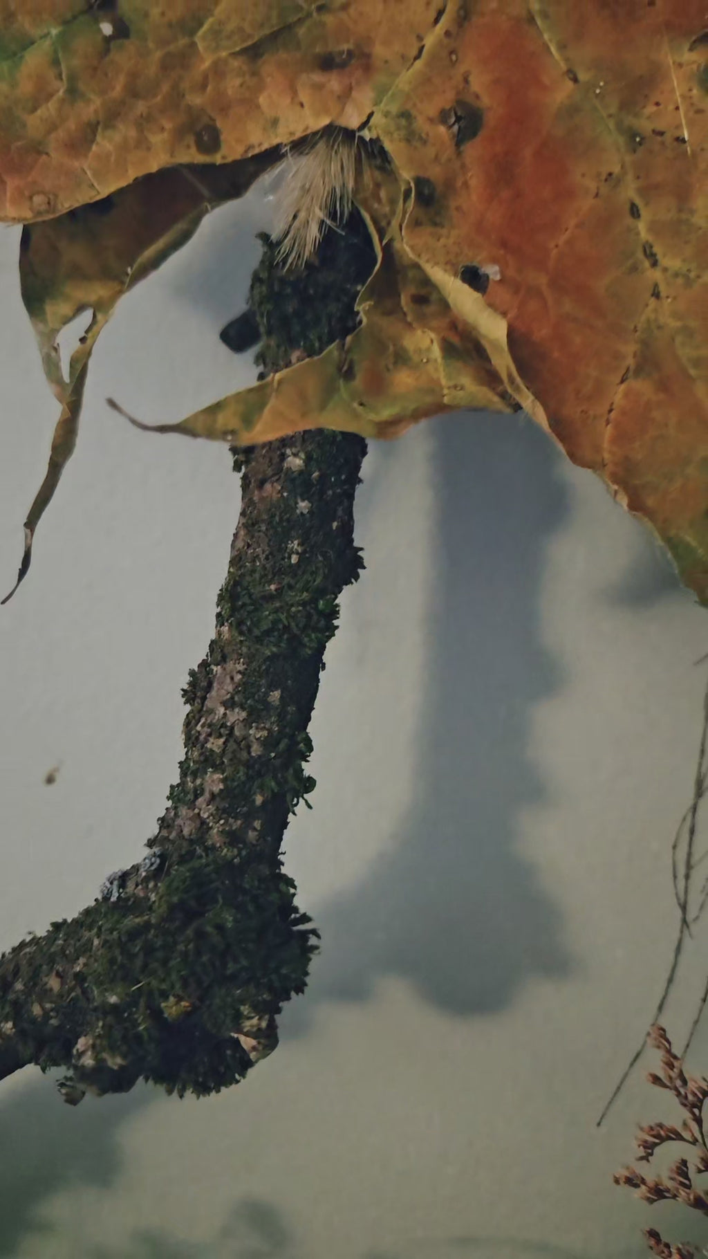 Keeper of Autumn Gate