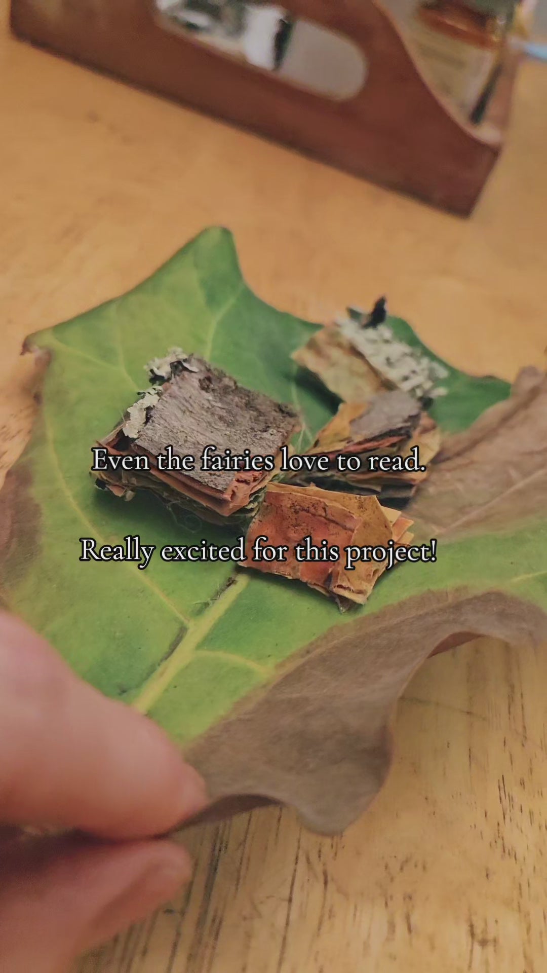 Fae Cottage Book