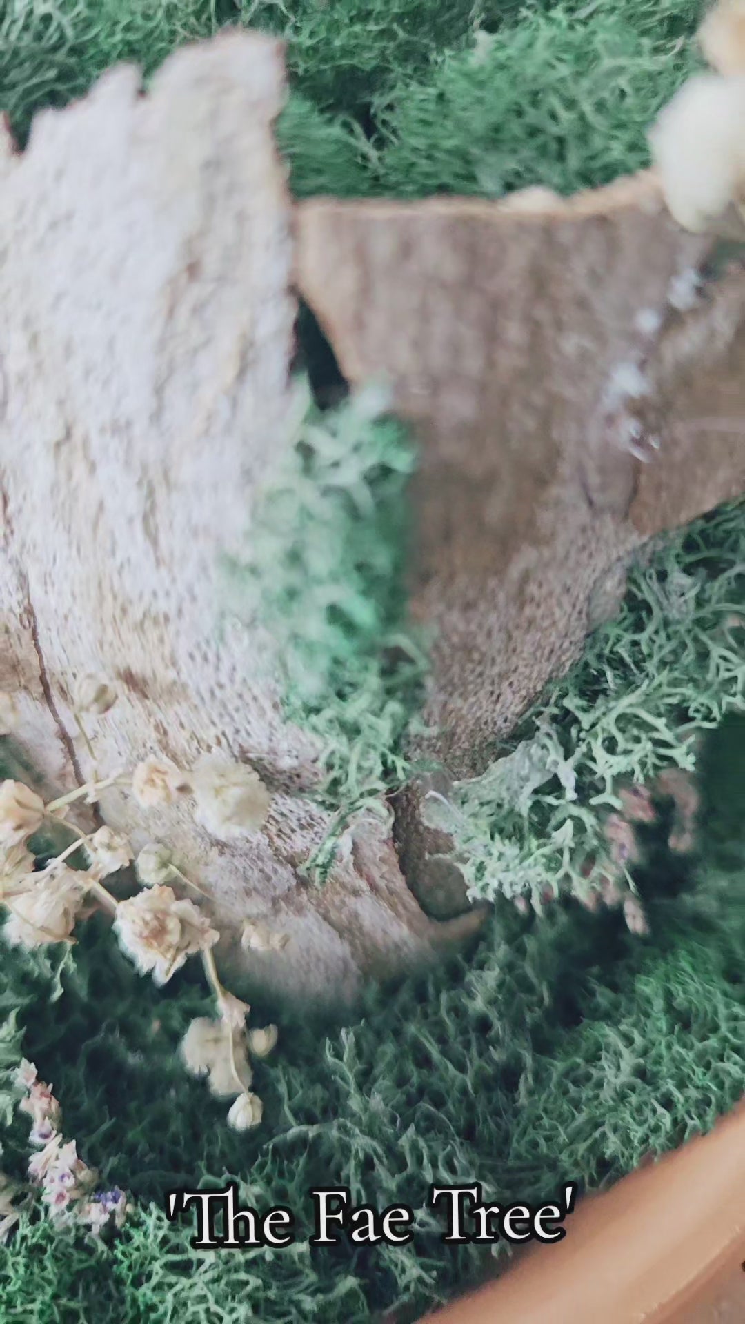 The Fae Tree