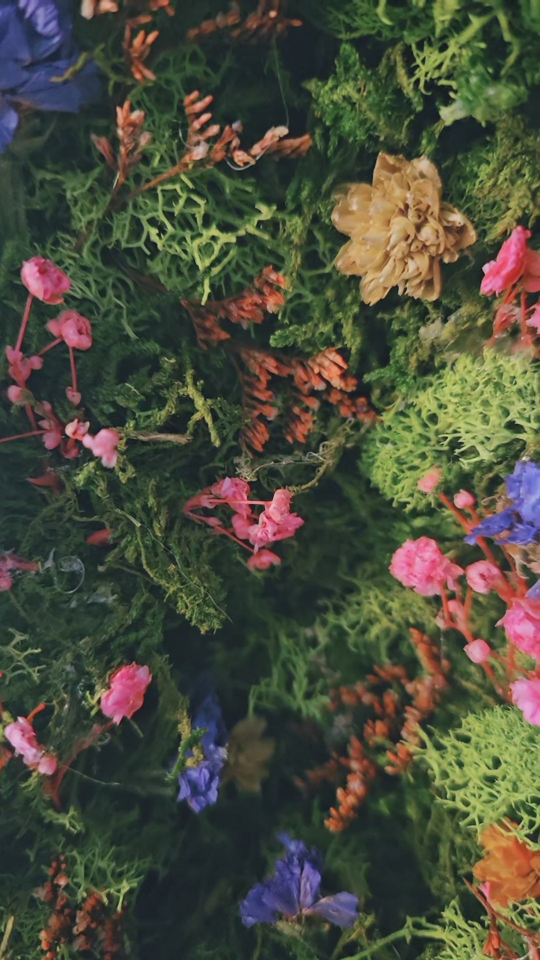 Enchanted Garden
