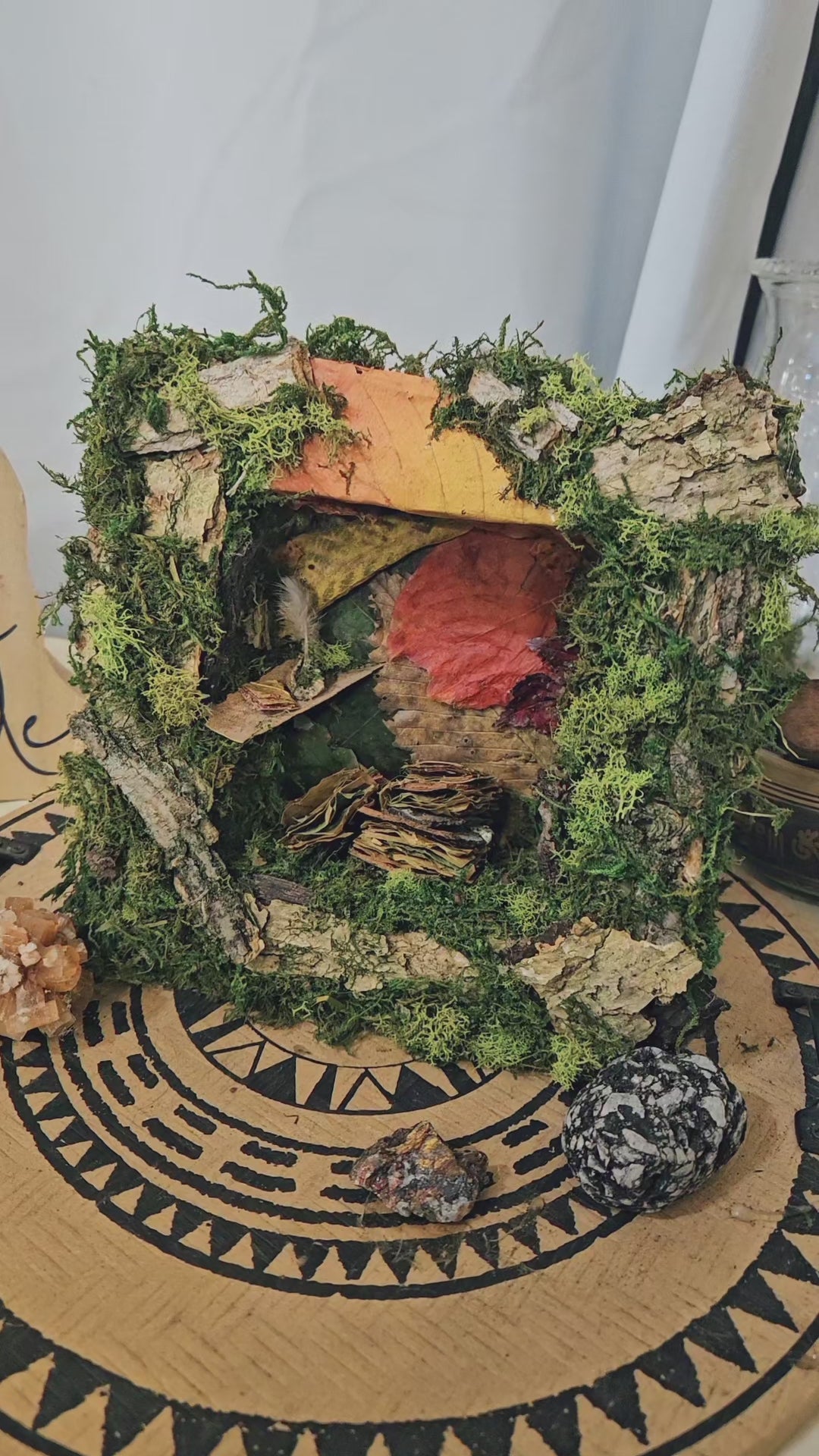 Fairy Scribes Library