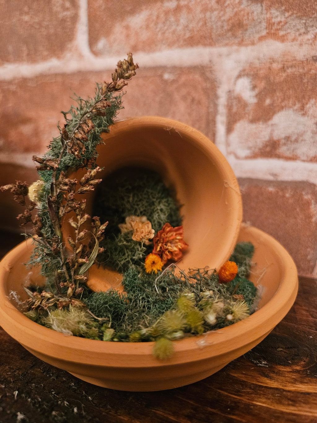 Fairy Garden
