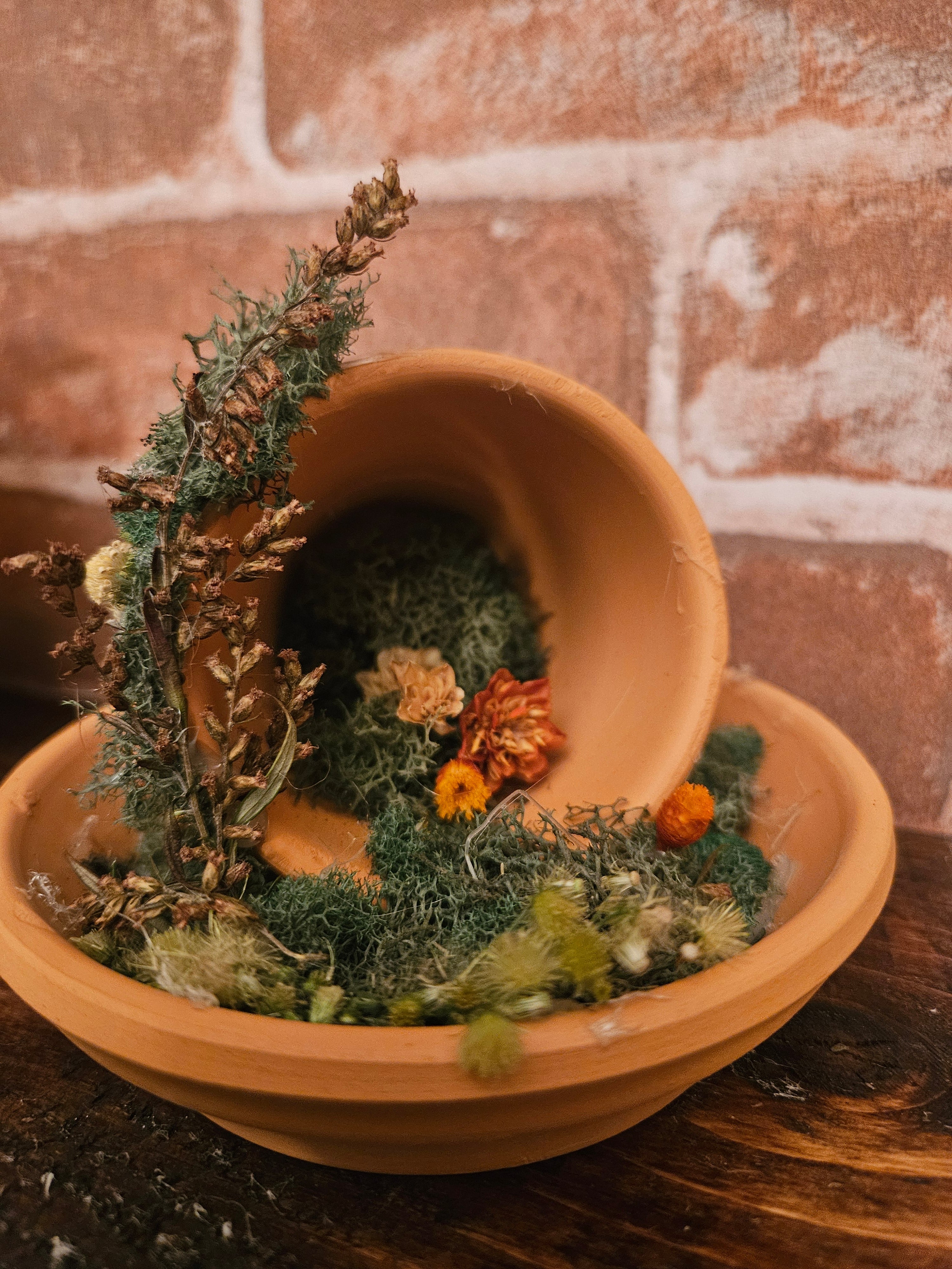 Fairy Garden