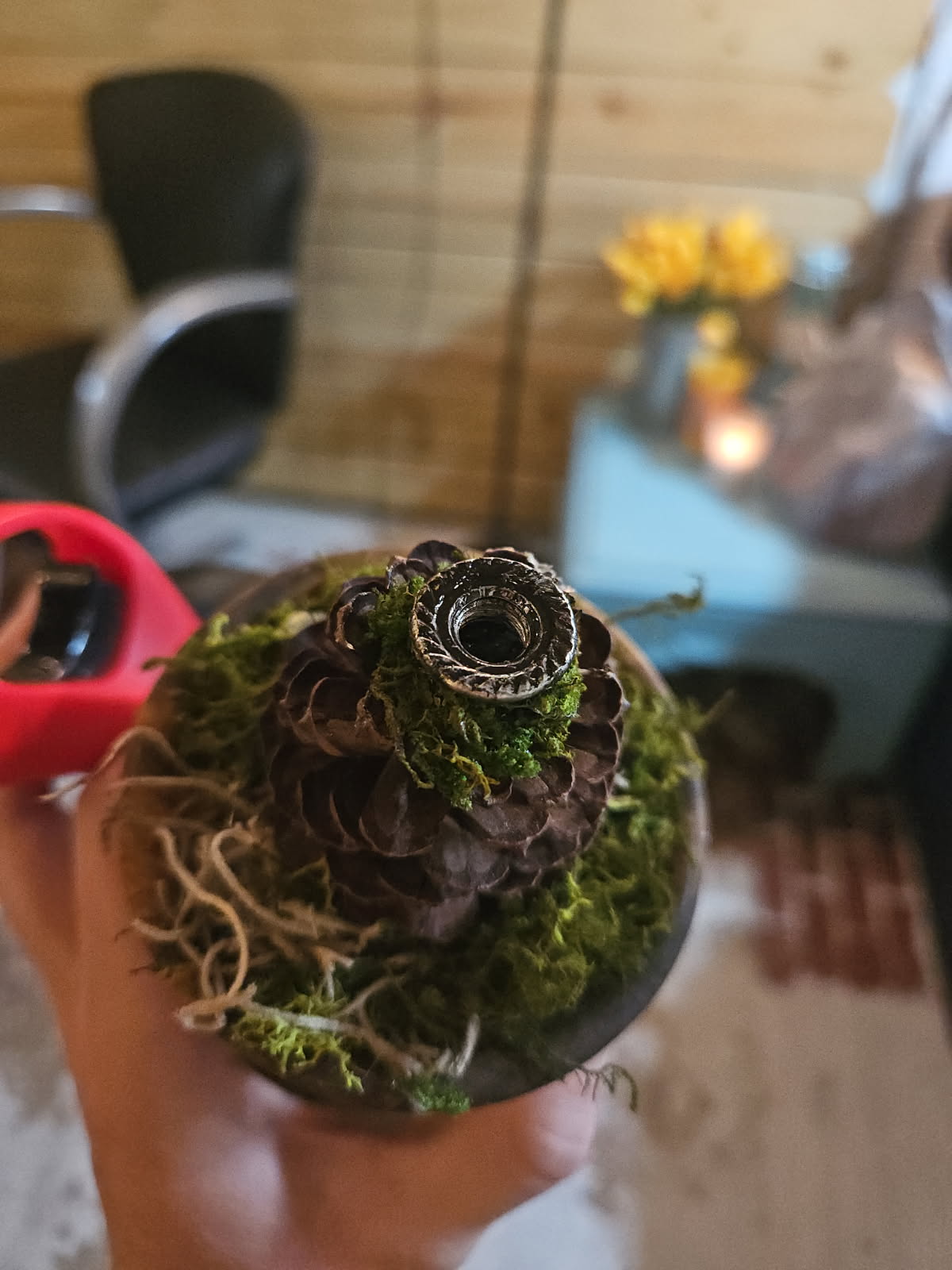 The Enchanted Pinecone- incense burner