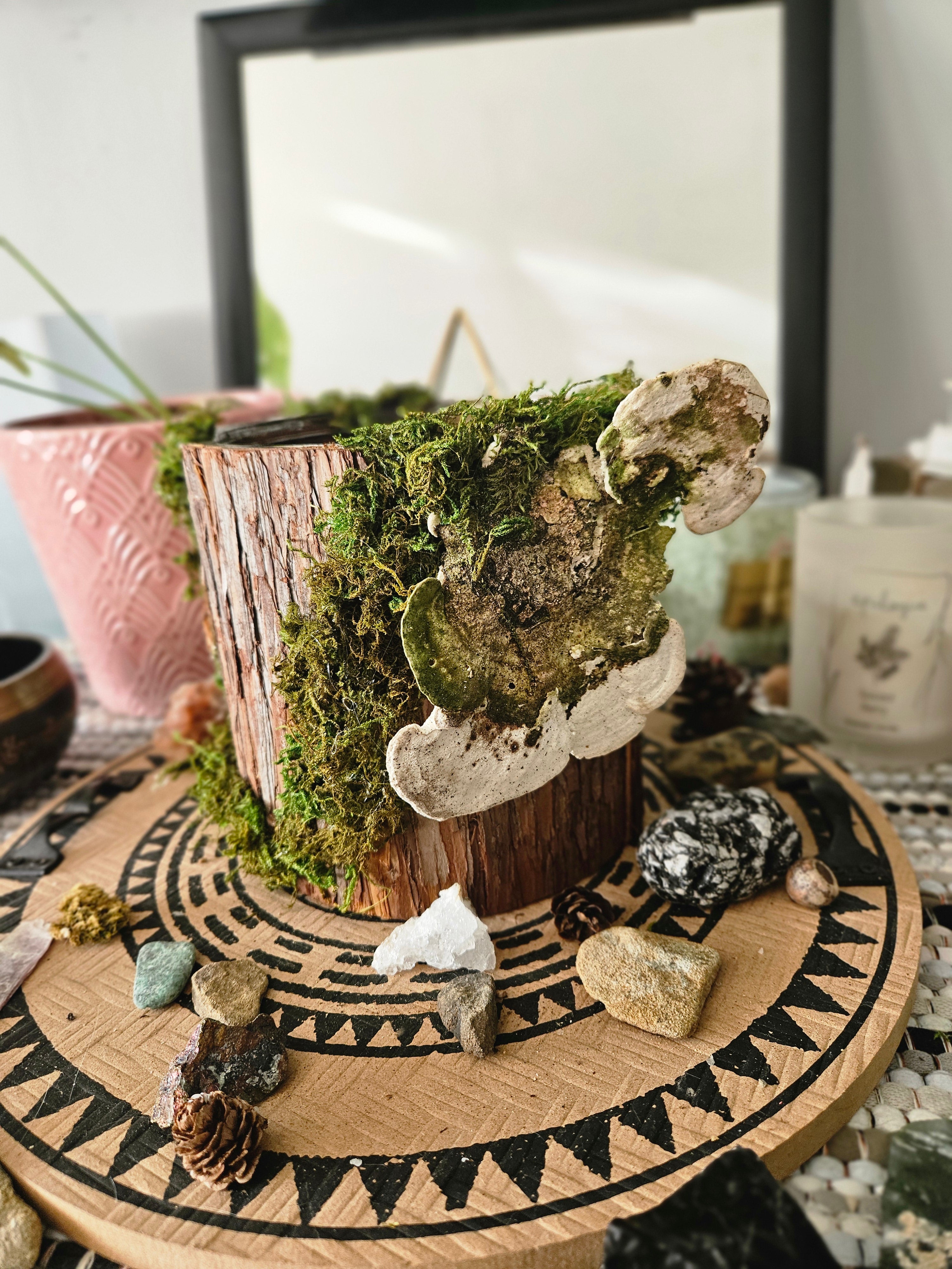 Forest Guardian Planter