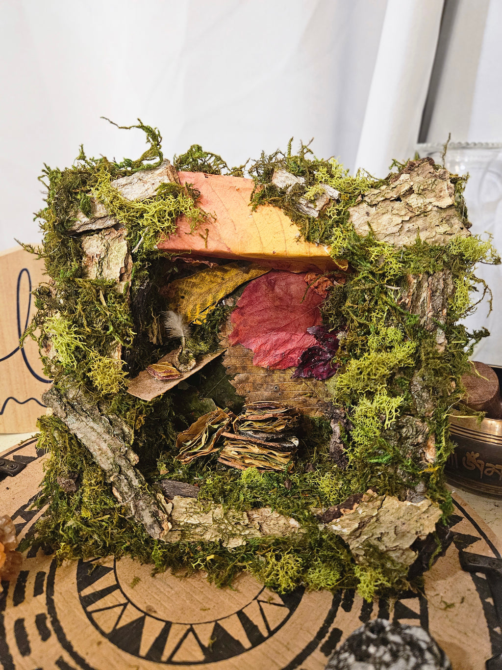 Fairy Scribes Library