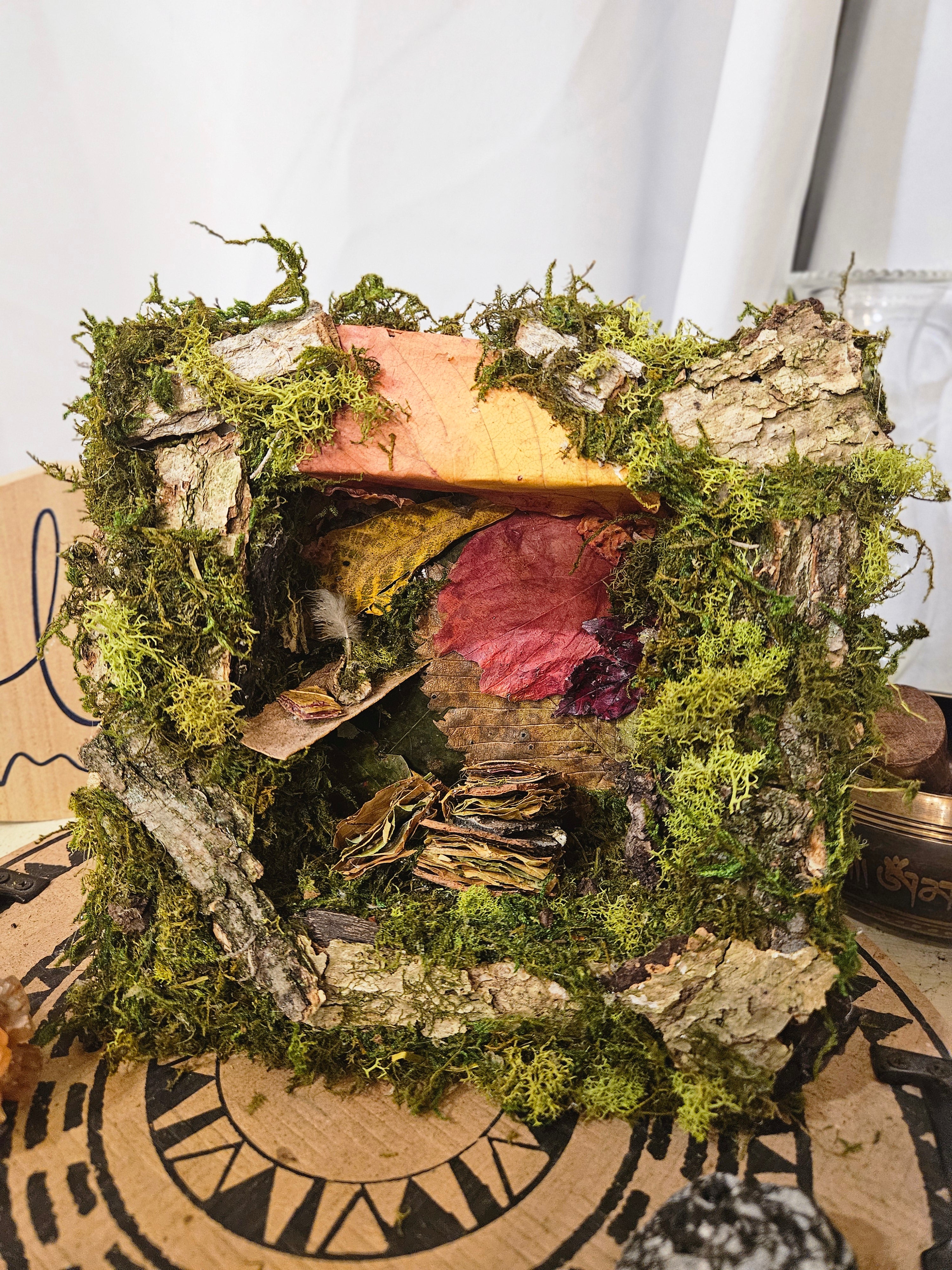 Fairy Scribes Library