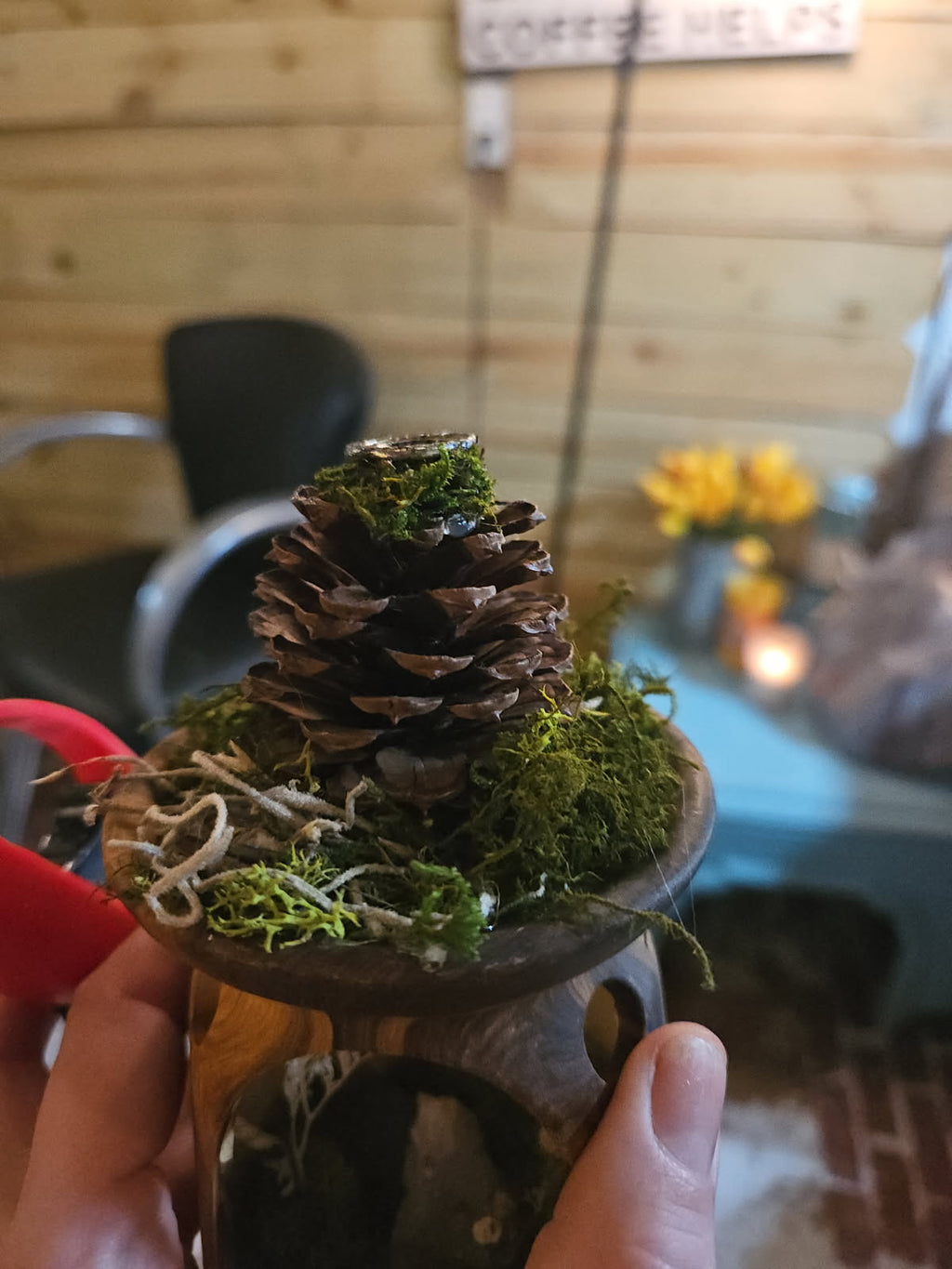 The Enchanted Pinecone- incense burner