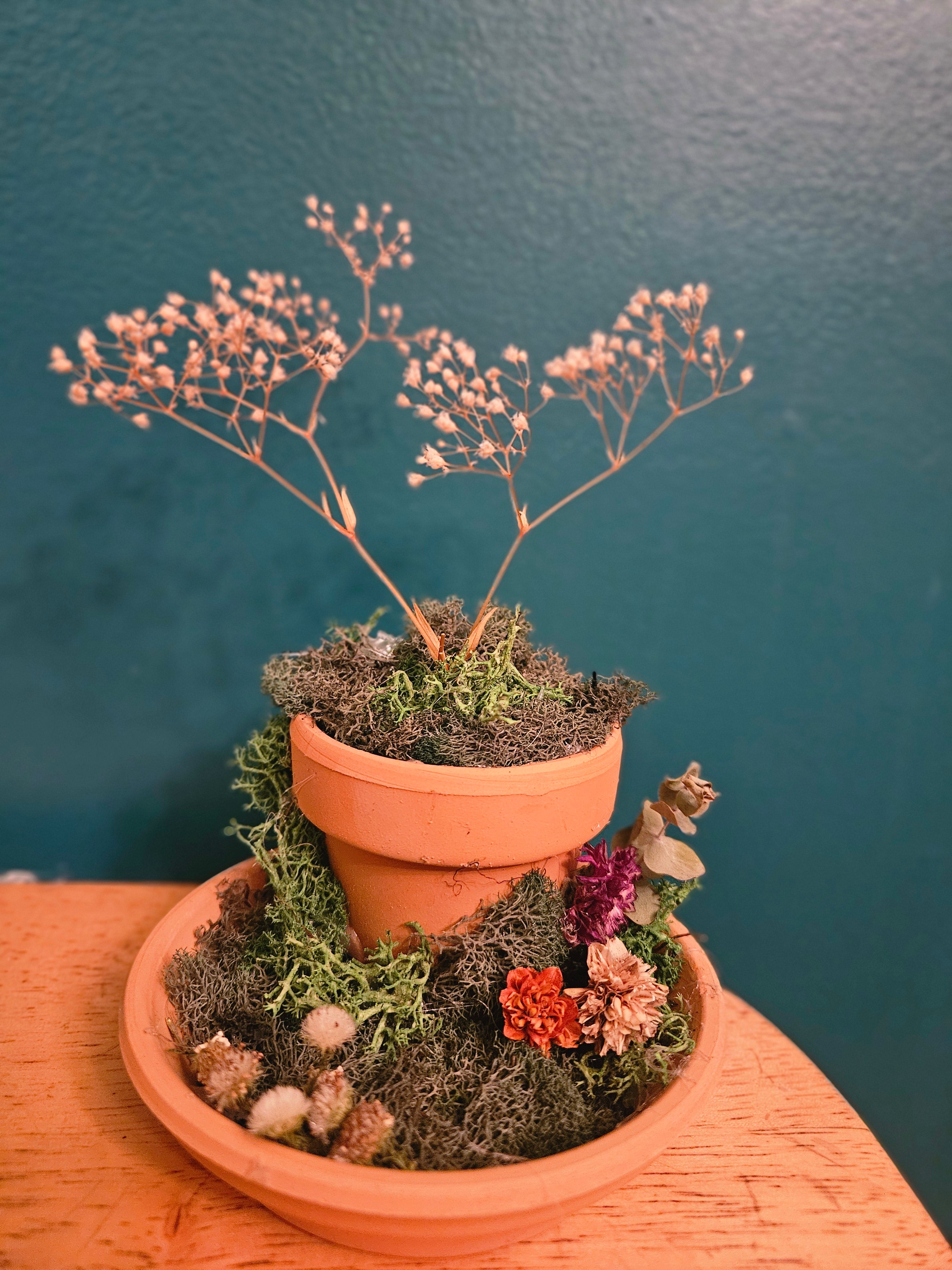 Rooted
