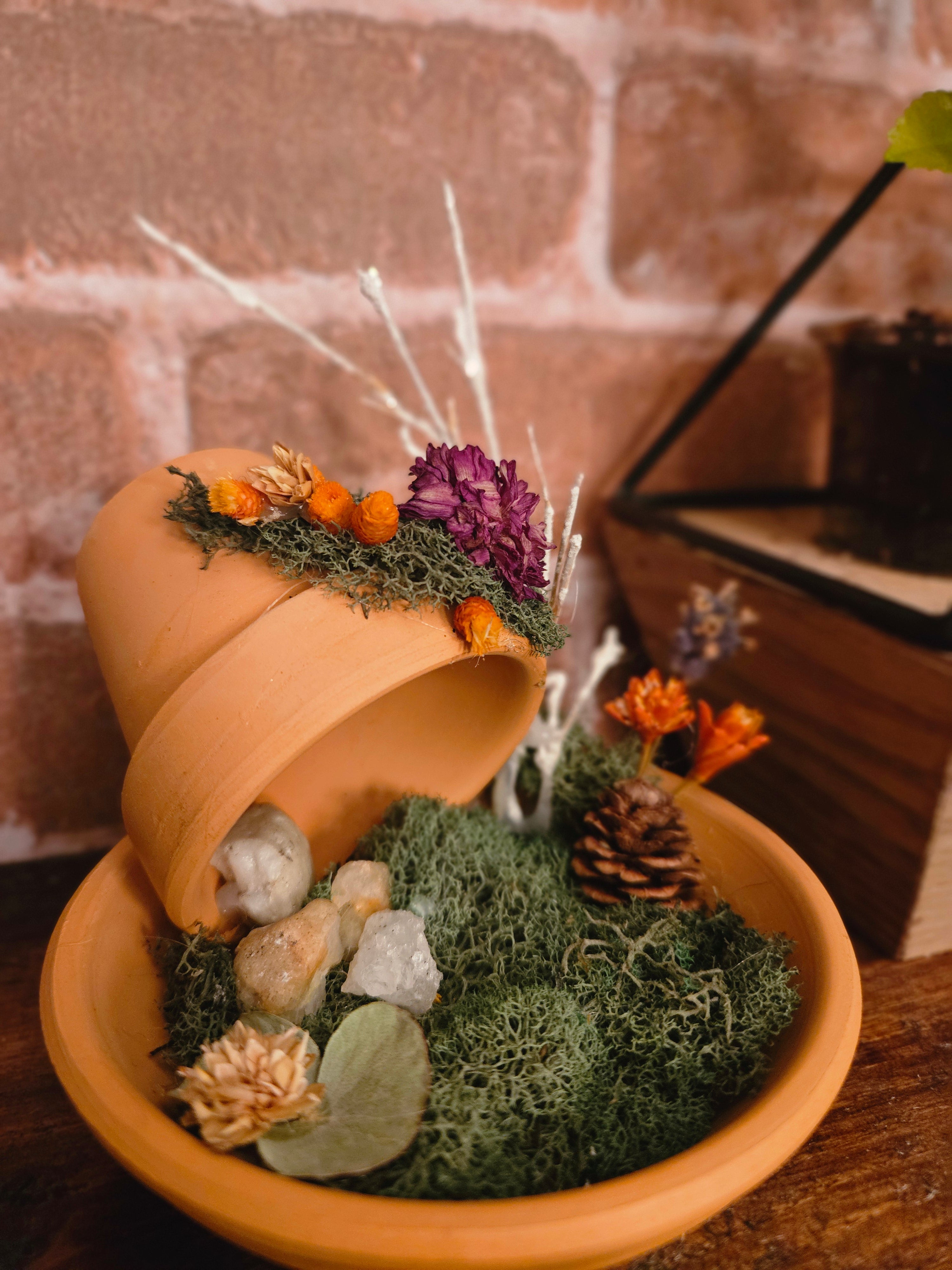 Wishing Garden