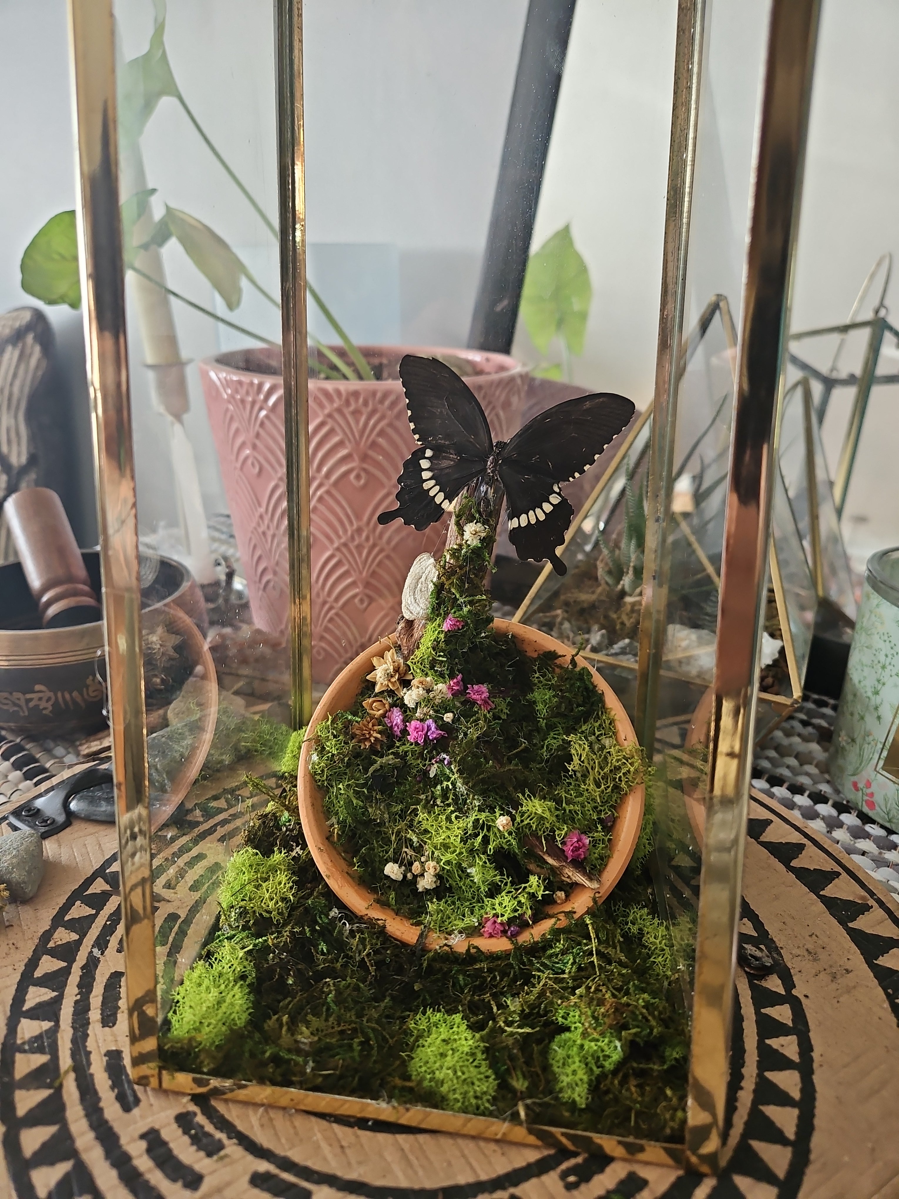The Enchanted Keeper