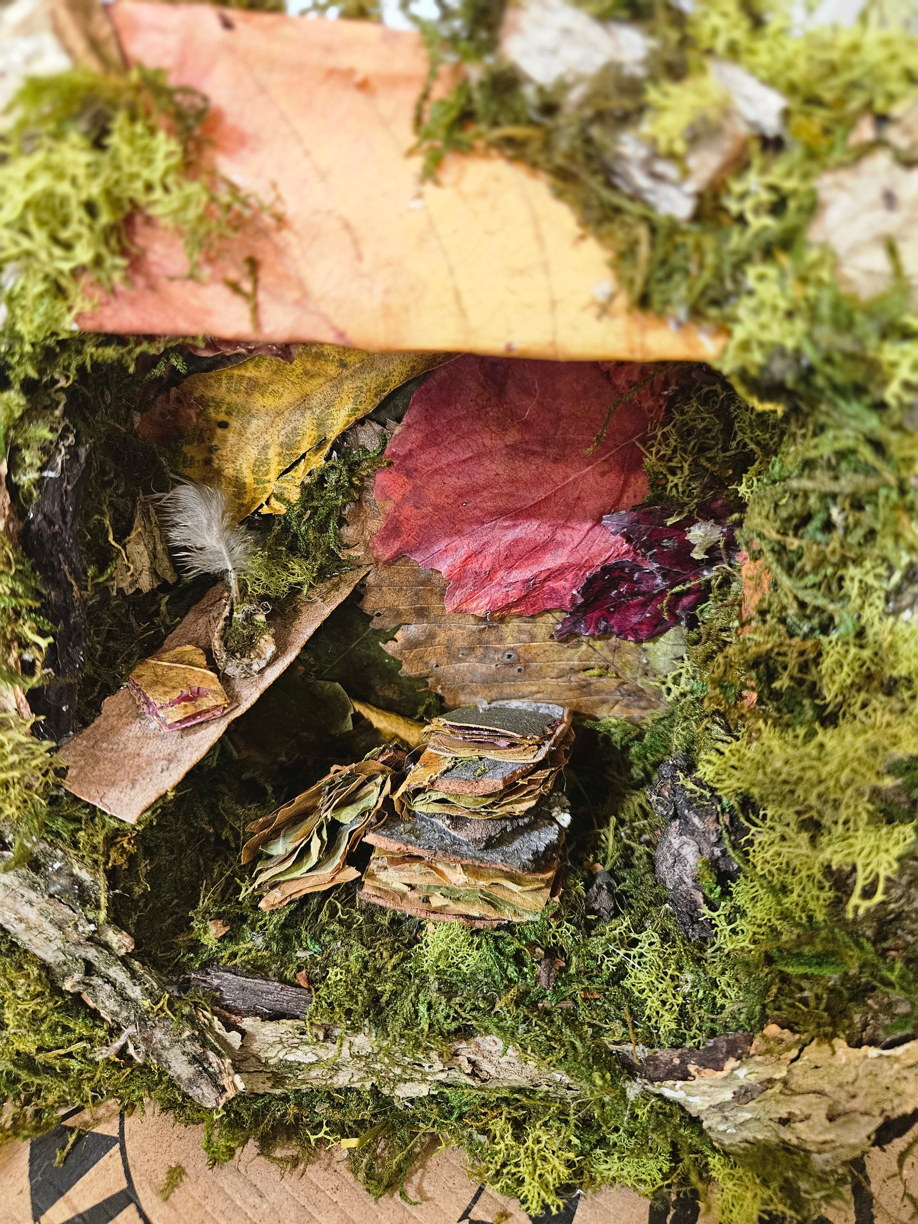 Fairy Scribes Library