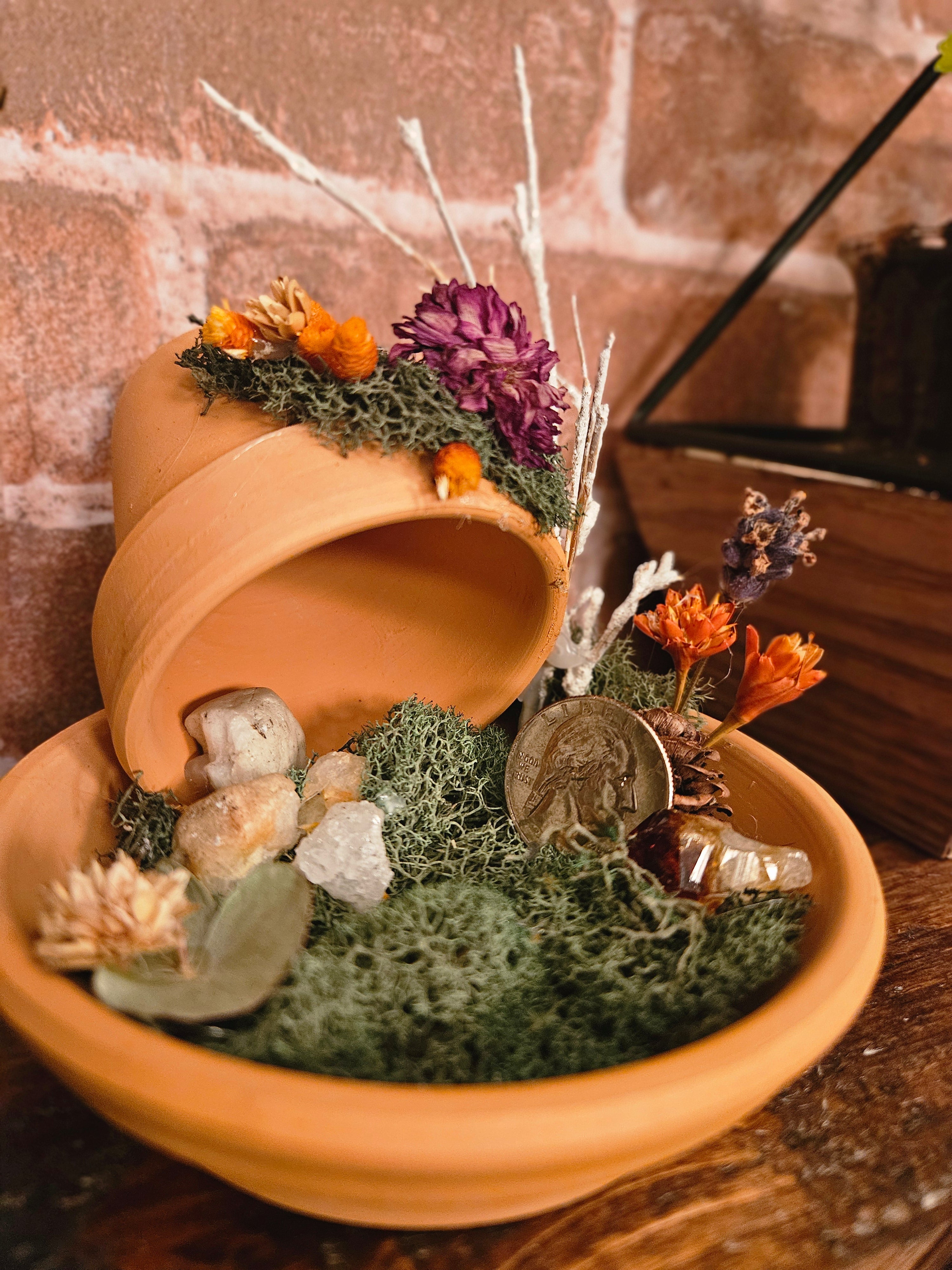 Wishing Garden
