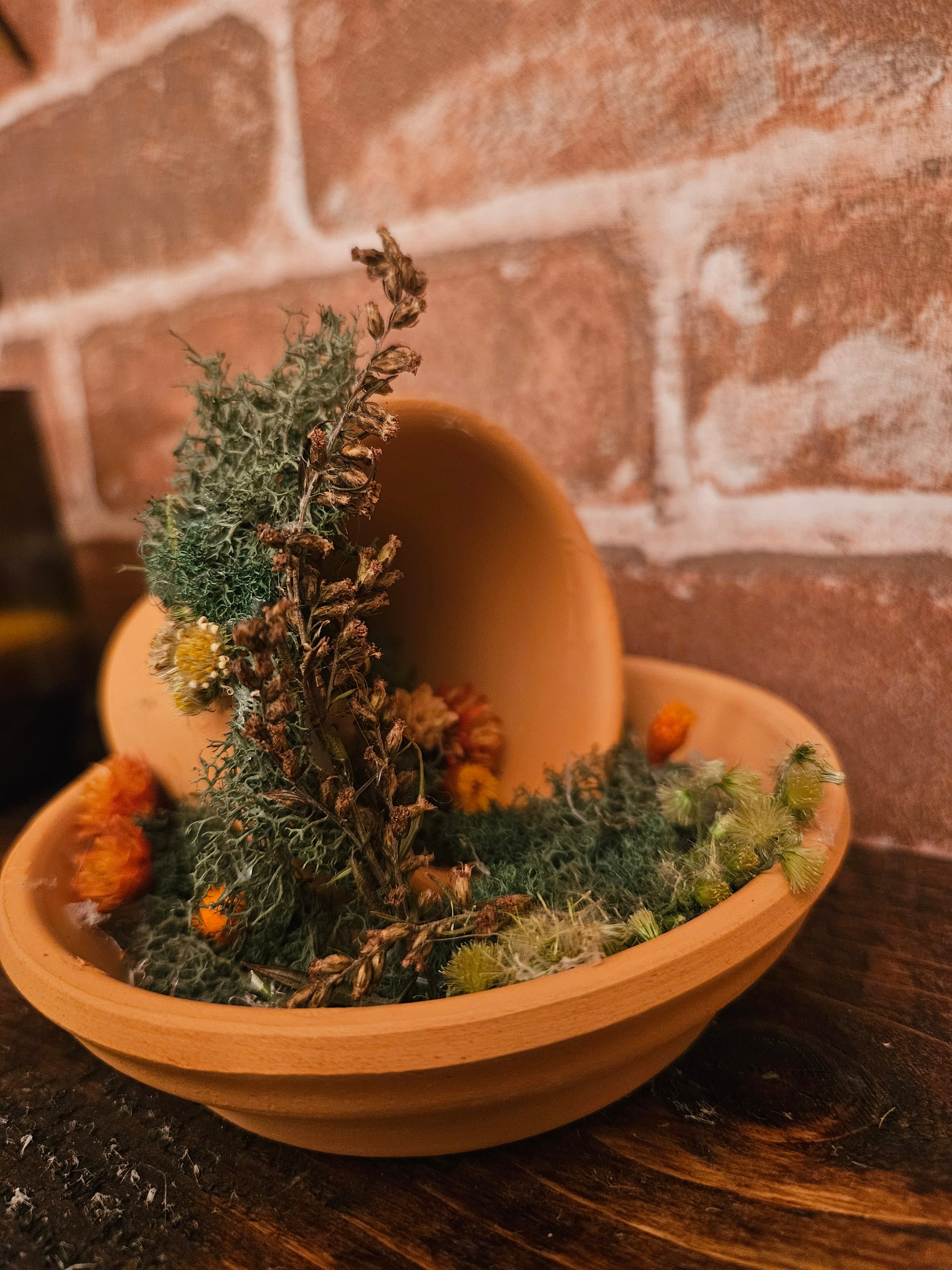 Fairy Garden