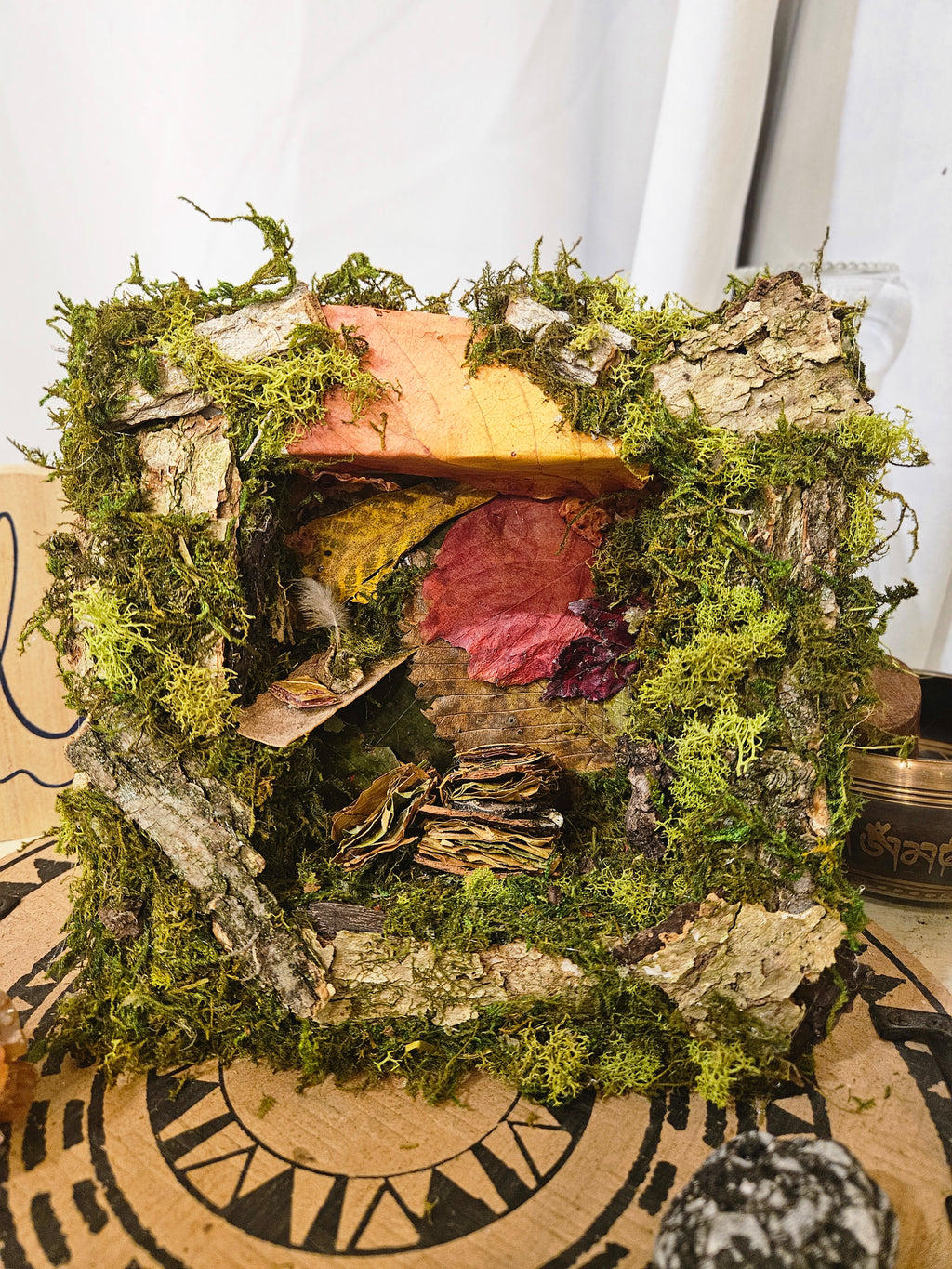 Fairy Scribes Library