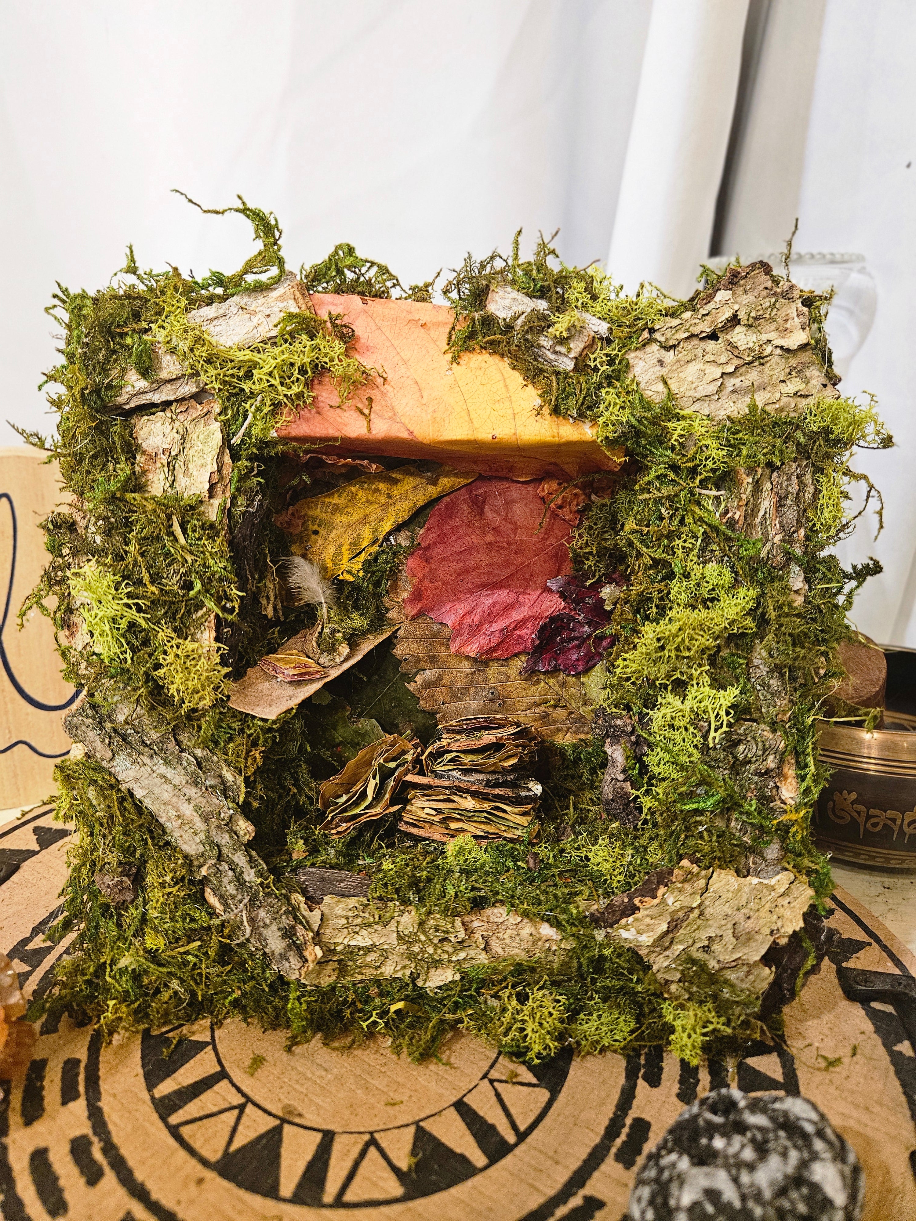 Fairy Scribes Library