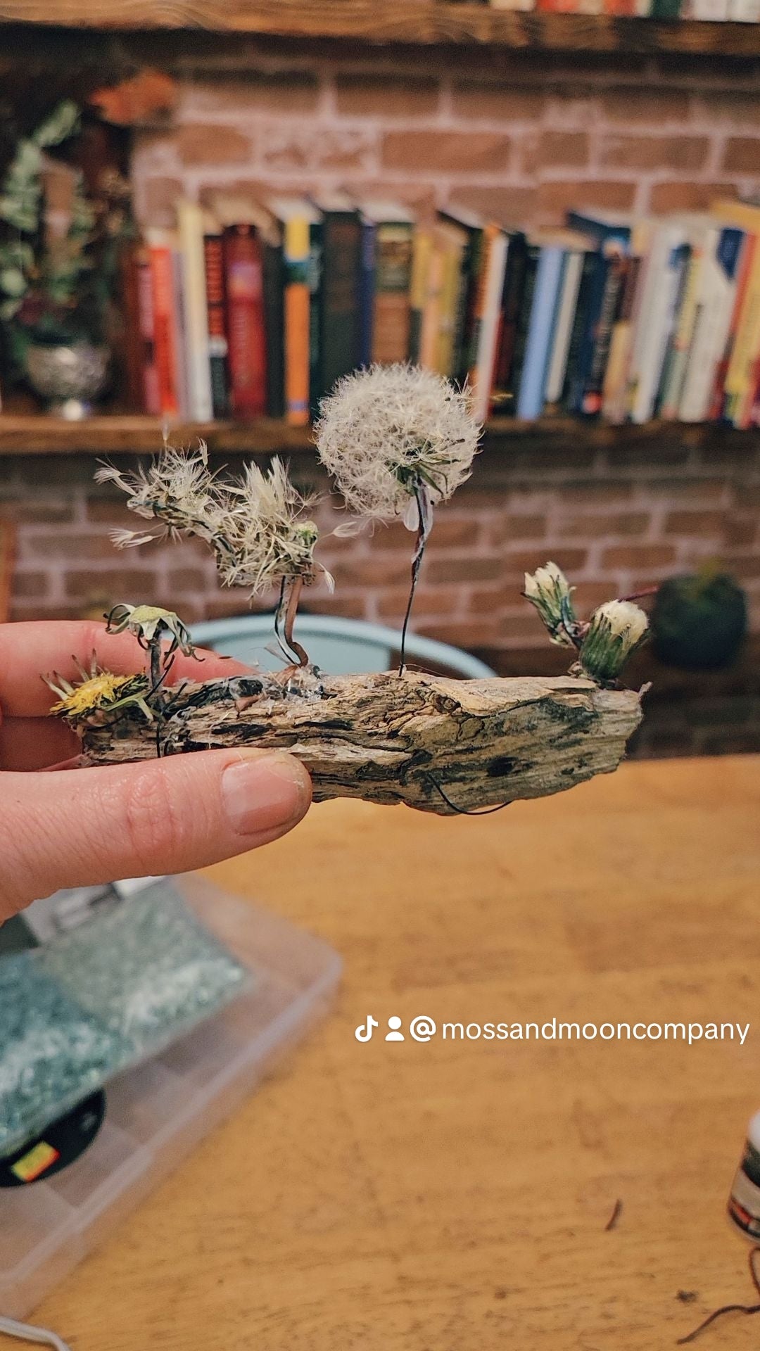 The Sewing of Dreams