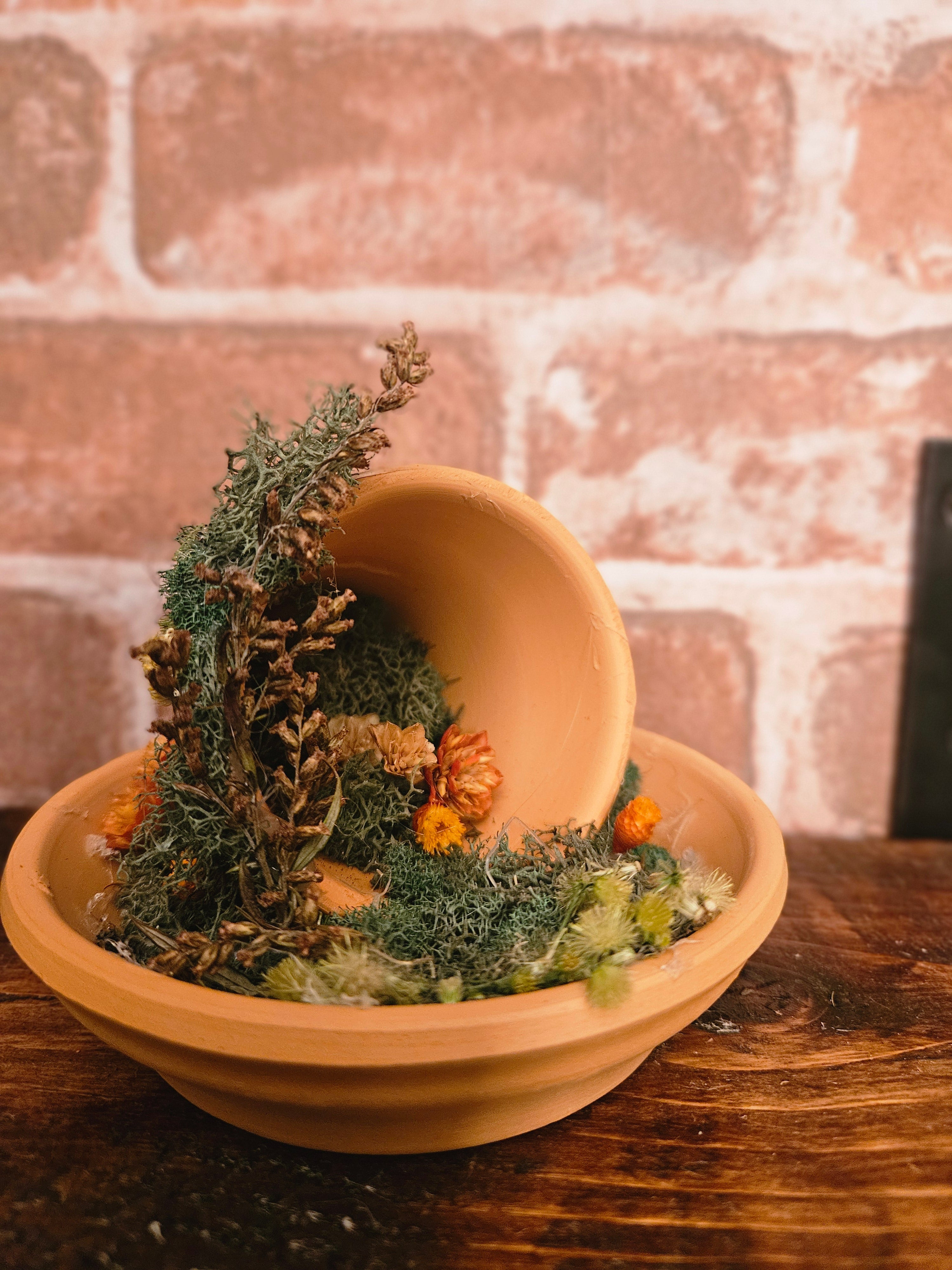 Fairy Garden