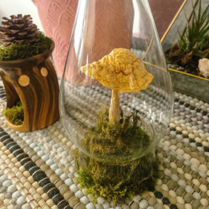 Lantern of Woodland Whispers