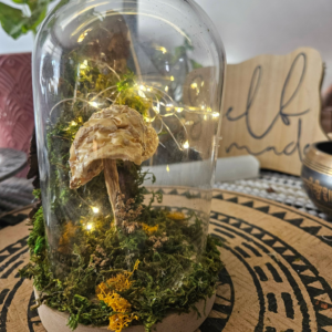 Guardian  Nightlight