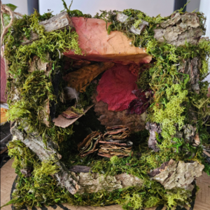 Fairy Scribe Library