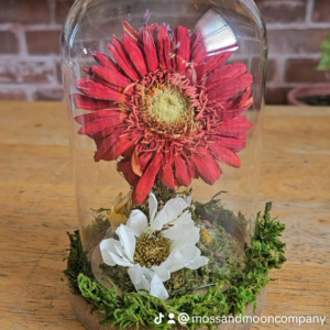 Preserved Flower Nightlight