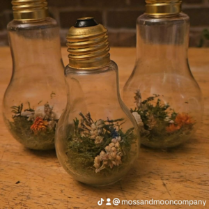 Light Bulb Terrariums